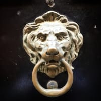 Wednesday Dharma Gathering  thumbnail