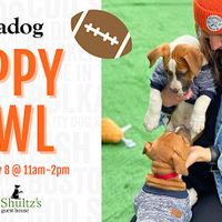 Polkadog Puppy Bowl thumbnail