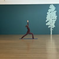 Yoga at deCordova thumbnail