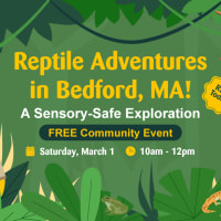 March Reptile Adventures in Bedford thumbnail