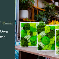 Moss Frame Workshop at Sprout thumbnail