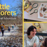 Little Explorers - Winter thumbnail