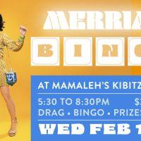 Drag Bingo Night! thumbnail