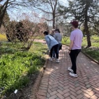Explore The New England Botanic Garden at Tower Hill: Day Trip from Boston thumbnail