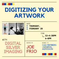 Digitize your Artwork with DSI thumbnail