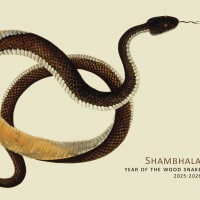Tibetan Lunar New Year 2025: Year of the Wood Snake  thumbnail