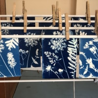 Family Workshop: Cyanotype and Airdry Clay Nature Prints thumbnail