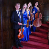 The Ulysses Quartet at Boston Public Library (February 2025) thumbnail