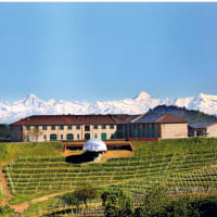 Barolo, Barbaresco, Brunello Wine Dinner at Nautilus Pier 4 thumbnail