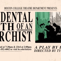 Accidental Death of An Anarchist thumbnail