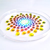 Micropipette Art Workshop (Introductory) thumbnail