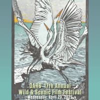 17th Annual Wild & Scenic Film Festival thumbnail