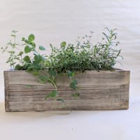 Herb Garden Workshop  thumbnail