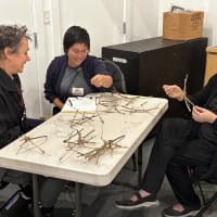 Free Twig Tensegrity Workshop thumbnail