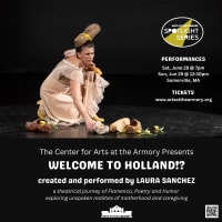 Welcome to Holland!? by Laura Sanchez thumbnail
