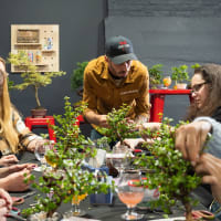 Bonsai Workshop at Castle Island Brewing Co. thumbnail