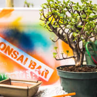 Bonsai Workshop at Mighty Squirrel Brewing Co. - Waltham thumbnail