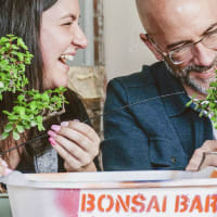 Bonsai Workshop at Long Live - Roxbury thumbnail