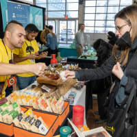 North East Tea Festival thumbnail