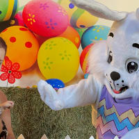 Egg-Citing Egg Hunt thumbnail