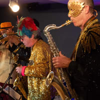 Mardi Gras Annual Party w/Revolutionary Snake Ensemble + guests Jason Palmer & Henri Smith thumbnail
