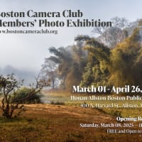 Boston Camera Club Members' Exhibition thumbnail