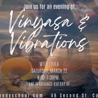 Vinyasa and Vibrations Yoga Workshop thumbnail