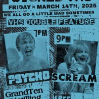 FREE VHS Movie Night Psycho/Scream in South Boston! thumbnail