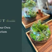 First Day of Spring: Make Your Own Terrarium Workshop thumbnail