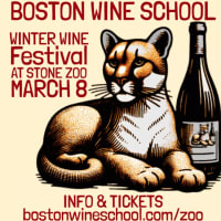Winter Wine Festival  thumbnail