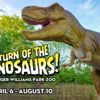 Return of the Dinosaurs thumbnail