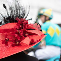 Triple Crown: Full Millinery Weekend 3 Class Pack thumbnail