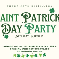 St. Patrick's Day Party thumbnail