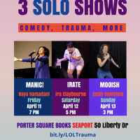 3 Solo Shows: Comedy, Trauma, More! thumbnail