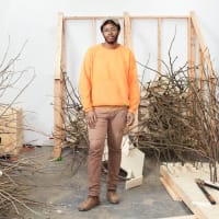Building Americana — A Conversation with Hugh Hayden thumbnail