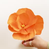Minni Tween Workshop - Crepe Paper Flowers thumbnail