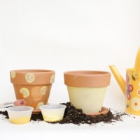 Minni Family Workshop - Garden Party thumbnail