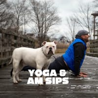 Hello Spring! Yoga & No-Mosas at Dray thumbnail