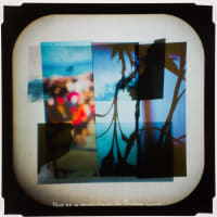 Curatorial Tour with Dr. Jessica Orzulak: Sovereign Memory: Photography, Remembrance, and Displaced Histories thumbnail