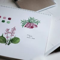 Flowers with Meaning: Botanical Watercolors thumbnail