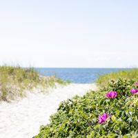 Easter at Red Jacket Beach Resort thumbnail