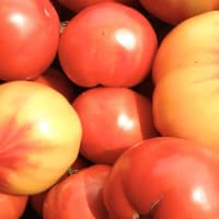 Farmer Scott's Heirloom Tomato Plant Sale thumbnail