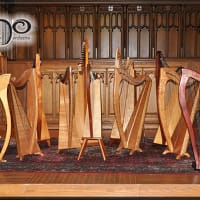 Concerts in the Carriage House: New England Irish Harp Orchestra thumbnail