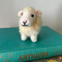 Needle Felting Workshop thumbnail