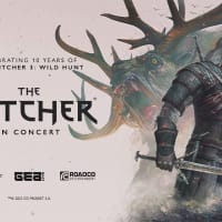 The Witcher thumbnail