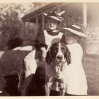 Dogs Welcome! Lyman Estate Landscape Tour thumbnail
