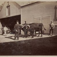 Life of a Laborer, a Working-Class History Tour thumbnail