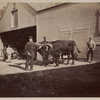 Life of a Laborer, a Working-Class History Tour thumbnail