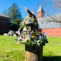 Enchanted Spring at Bellforge thumbnail