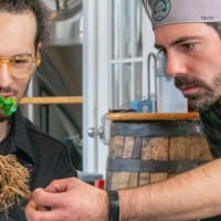 Bonsai Workshop at Mighty Squirrel Brewing Co. - Fenway thumbnail